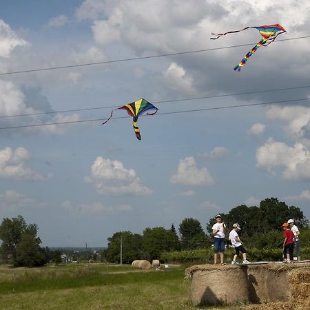 Agriturismo Bosco Del Fracasso سكانديانو المظهر الخارجي الصورة