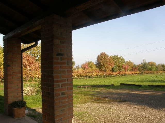 Agriturismo Bosco Del Fracasso سكانديانو المظهر الخارجي الصورة